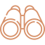 Vision Icon
